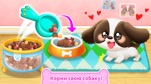 Панда Игра: Жизнь Собаки
